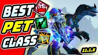 SO MANY PETS Beast Mastery Hunter Season 2 The War Within 11.1.5 World of Warcraft Wow PvP Gameplay