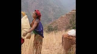 Poor family poor kids in village.  Hardworking mom Cooking  best food for kids eating building