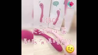 LIBO 小麗LIBO 大波有咩分別