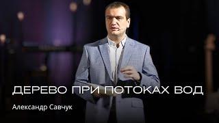 Дерево при потоках вод | Александр Савчук