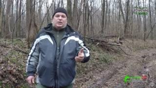 Браконьерская охота в национальном парке «Гомольшанские леса».