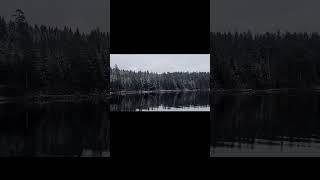 Moose Crossing Lake– From the Archive #Shorts#moose