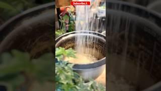 Meal prep #shorts #gharkakhana #mealprep #vegan #vegetarian #food #viralvideo #subscribe #dalmakhani