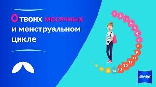 Все, что нужно знать о месячных, за 3 минуты