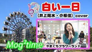 白い一日（作詞:小椋佳,作曲:井上陽水.フォークソング）#cover／Mog²time：モグモグタイム-やまぐちフラワーランドライブ 10 @oto-ebox