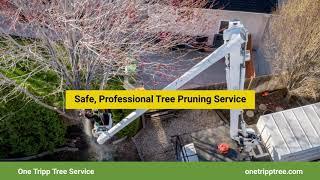 One Tripp Tree Service San Diego California 92121