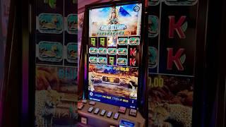 Линия топов закрылась. Занос в Eye of Storm #madmaxstream #slot #casino #jackpot