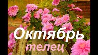 ТЕЛЕЦ. Энергия Октября&October. Таро-гороскоп от 𝒯𝒶𝓉𝓎𝒶𝓃𝒶𝒯𝒶𝓇𝑜