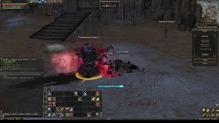 Necromancer lvl 46 Pavel Ruins.  Lineage 2 Reborn GF Origins.