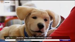 Technology | 'Jeanie,' a lifelike robotic puppy provides unconditional love