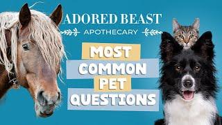 Common Pet Product Questions Answered with Adored Beast Apothecary