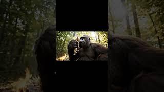 BigFoot found 2 kittens today  #bigfoot #bigfootvlog #sasquatch #yowie #yeti