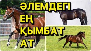 Әлемдегі ең қымбат ат қанша тұрады???????