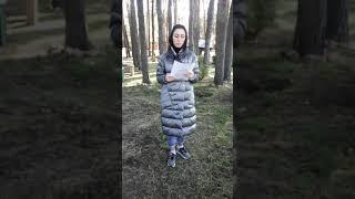 VID 20191010 1149211