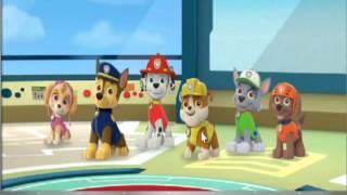 Paw Patrol Save the Day