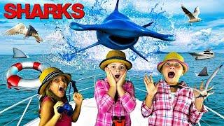 Sharks for Kids | Learn About Hammerhead Sharks!