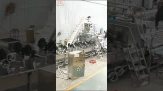 Whole Frozen Green Pea Production Line Installation Video