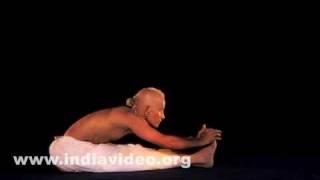 Yoga, Paschimottanasana, Abdominal organs, Body fitness, India