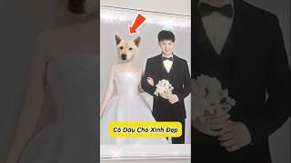  Tiểu Bạch làm cô dâu chó cho Sen ! #emthocreview #shorts #trend #viral #hàihước #giảitrí