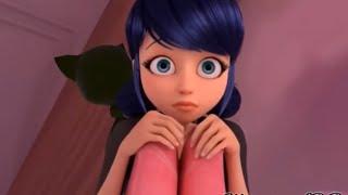 If Marinette got Plagg instead of Tikki