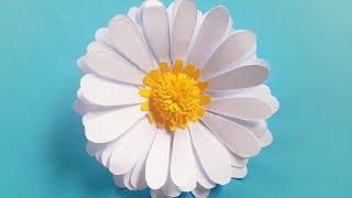 Cute daisy flower with paper  #short #shorts #flower