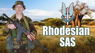 RhSAS Uniforms & Equipment |Rhodesian Bush War Brushstroke Camouflage | P61/64, P69...