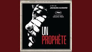 La sortie