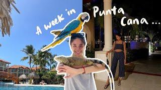  Punta Cana Vlog | Attending friend's wedding, cave swimming, buggy tour etc in Dominican Republic