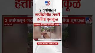 Gadchiroli | 2 वर्षापासून गडचिरोलीत रानटी हत्तींचा धुमाकूळ