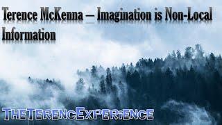 Terence McKenna – Imagination is Non-Local Information