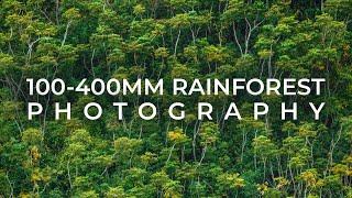 100-400mm Landscape Photography in a Tropical Rainforest