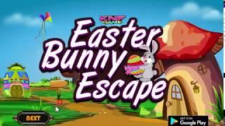 Knf Easter Bunny Escape walkthrough