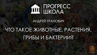 Андрей Гранович — Что такое животные, растения, грибы и бактерии?