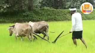 Bastariya song video