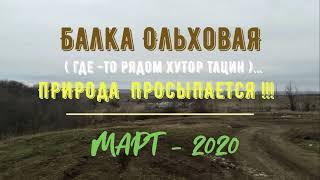 Балка ОЛЬХОВАЯ (где -то рядом ХУТОР ТАЦИН).../ПРИРОДА ПРОСЫПАЕТСЯ !!!/МАРТ -2020