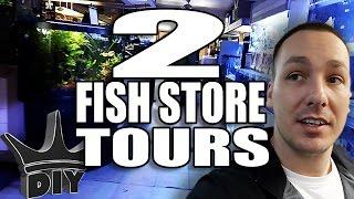 2 Fish store tours and Discus Aquarium Set Up