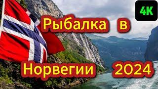 Лучший день за всю неделю Морской Рыбалки в Норвегии, Рыбалка и Отдых на Vandve.