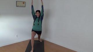 STUPIDEST. YOGA. ADJUSTMENT. EVER. Warrior One Virabhadrasana One With Shana Meyerson YOGAthletica