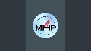 MHP Equestrian Videos is live!