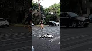 Deja pasar a los perritos