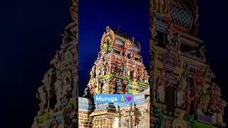 Kan Kanda Deivame Muruga 🩷 #murugan #murugantemple #omsaravanabhava #bhakti