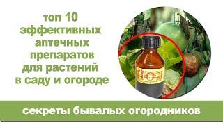 Топ 10 эффективных аптечных препаратов для растений в саду и огороде.