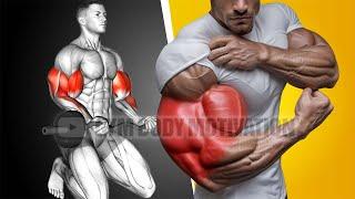 Build Massive Arms Fast - The Ultimate Biceps and Triceps Routine