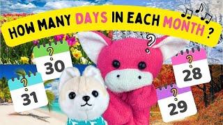 The Months Song - How Many Days are in Each Month? - 365 Days of Fun by Math Notes with Rocko