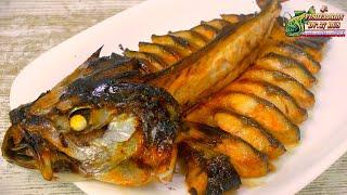 Mackerel in the oven, well, a very tasty dish and a spectacular serving of ordinary fish, mackerel.