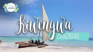 Kiwengwa Beach Zanzibar | Video Hd