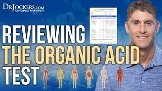 Reviewing the Organic Acid Test for Brain, Gut Health and Energy Levels