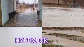 САМАРКАНД В НУРОБОД ТУМАНИ НУРБУЛОК ШАХАРЧАСИ ПУЛАТЧИ М КУЧЛИ ЁМГИР ОКИБАТЛАРИ 12.03.24