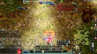 Aion ПВП Танк 65 / PVP Templar 65 Shenku (Делика / Delika)