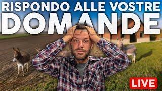 Che fine hanno fatto gli asini? Costruisco una cascina? Q&A onestissimo